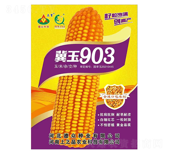 玉米種子-冀玉903-上之品農業(yè)