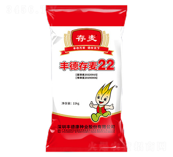 豐德存麥22小麥種子-豐德康