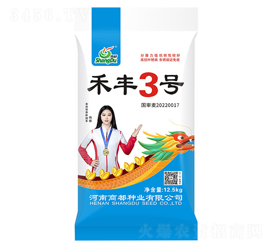 禾豐3號-小麥種子-商都種業(yè)